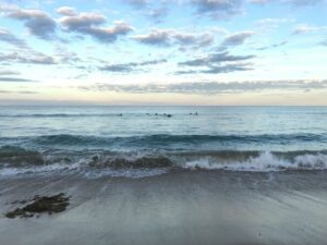 Ferwagner-Anna-sematerapia-semacoaching-pszichologus